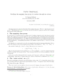 Studying the Mapping Class Group of a Surface Through Its Actions