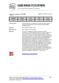 FULL ACCOUNT FOR: Lithobates Catesbeianus Global Invasive Species Database (GISD) 2021. Species Profile Lithobates Catesbeianus