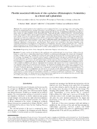 Phorids Associated with Nests of Atta Cephalotes (Hymenoptera: Formicidae) in a Forest and a Plantation