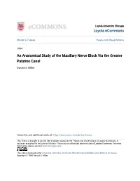 An Anatomical Study of the Maxillary Nerve Block Via the Greater Palatine Canal