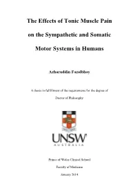 The Effects of Tonic Muscle Pain on the Sympathetic and Somatic Motor Systems in Human