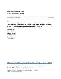 Translational Regulation of the DOUBLETIME/CKIÎ´/Îµ Kinase By