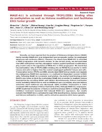 MAGE-A11 Is Activated Through TFCP2/ZEB1 Binding Sites De-Methylation As Well As Histone Modification and Facilitates ESCC Tumor Growth