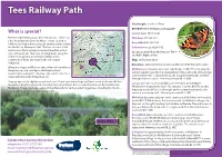Tees Railway Path