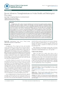 Transglutaminase in Ocular Health and Pathological Processes