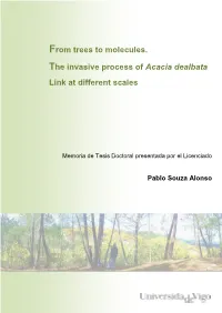 From Trees to Molecules : the Invasive Process of Acacia Dealbata Link At