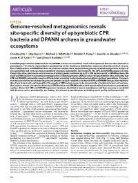 Genome-Resolved Metagenomics Reveals Site-Specific Diversity of Episymbiotic CPR Bacteria and DPANN Archaea in Groundwater Ecosystems