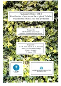 Project CSE 1 Identification of Species and the Origin of Tribulus Found in Areas of Dried Vine Fruit Production