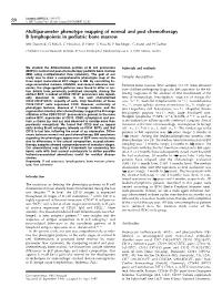Multiparameter Phenotype Mapping of Normal and Post-Chemotherapy B