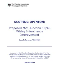 Scoping Opinion