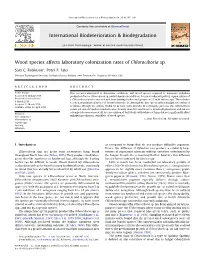 Wood Species Affects Laboratory Colonization Rates of Chlorociboria Sp