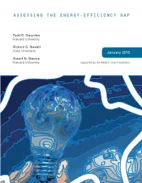 Assessing the Energy-Efficiency Gap