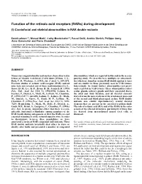 Function of the Retinoic Acid Receptors (Rars) During Development (I) Craniofacial and Skeletal Abnormalities in RAR Double Mutants