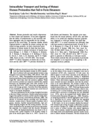 Intraceuular Transport and Sorting of Mutant Human Proinsulins That Fail to Form Hexamers David Quinn,* Lelio Orci,* Mariella Ravazzola,~ and Hsiao-Ping H