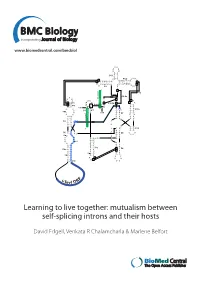 Mutualism Between Self‑Splicing Introns and Their Hosts