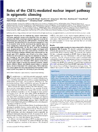 Roles of the CSE1L-Mediated Nuclear Import Pathway in Epigenetic