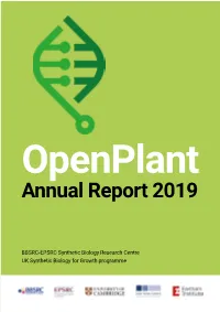 Annual Report 2019 Executive Summary