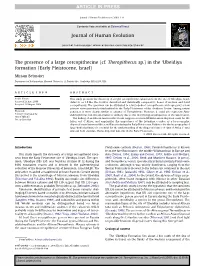 The Presence of a Large Cercopithecine (Cf. Theropithecus Sp.) in the ‘Ubeidiya Formation (Early Pleistocene, Israel)