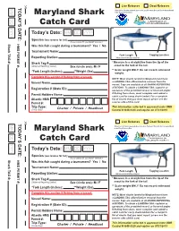 MD Shark Catch Card