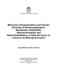 Molecular Characterization and Genetic Diversity Of