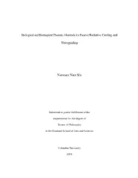 Dissertation Norman Nan