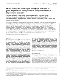 REST Mediates Androgen Receptor Actions on Gene Repression And
