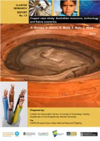 R. Memary, D. Giurco, G. Mudd, S. Mohr, Z. Weng 2012 Copper Case