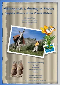 Walking with a Donkey in France