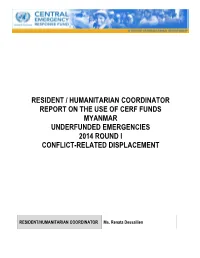 Clean RCHC Report 2012 Template ENGLISH