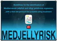 Guidelines for the Identification of Mediterranean Jellyfish and Other