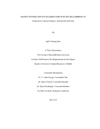 Mating System and Social Behavior of Rusty Blackbirds On