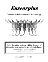 DNA Barcoding Indicates Hidden Diversity of Euscorpius (Scorpiones: Euscorpiidae) in Turkey