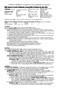 HORSE in TRAINING, Consigned by the Castlebridge Consignment