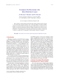 Development of the Microstructure of the Silicon Nitride Based Ceramics
