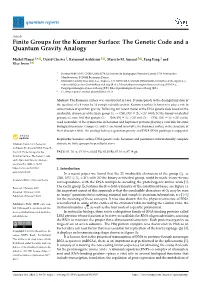 Finite Groups for the Kummer Surface: the Genetic Code and a Quantum Gravity Analogy