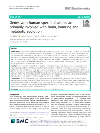 Genes with Human-Specific Features Are Primarily Involved with Brain, Immune and Metabolic Evolution Mainá Bitar1* , Stefanie Kuiper2, Elizabeth A
