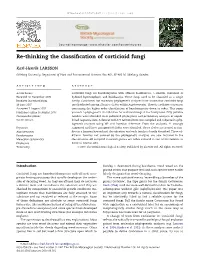 Re-Thinking the Classification of Corticioid Fungi