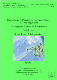 Comprehensive Capacity Development Project for the Bangsamoro Development Plan for the Bangsamoro Final Report Sector Report 2