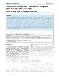 Comparative Growth and Development of Spiders Reared on Live and Dead Prey