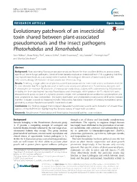 Evolutionary Patchwork of an Insecticidal Toxin