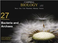 Genetic Recombination Promote Genetic Diversity in Prokaryotes