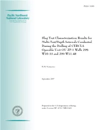 Slug Test Characterization Results for Multi-Test/Depth Intervals Conducted During the Drilling of CERCLA Operable Unit OU ZP-1 Wells 299- W10-33 and 299-W11-48