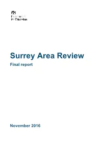 Surrey Area Review Final Report