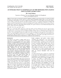 An Introduction to Morphology of the Reproductive System and Anatomy of Hen's