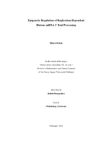 Epigenetic Regulation of Replication-Dependent Histone Mrna 3’ End Processing