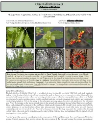 Oriental Bittersweet Orientalcelastrus Bittersweet Orbiculatus Controlcontrol Guidelinesguidelines