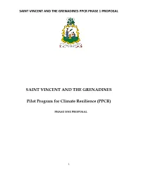 SAINT VINCENT and the GRENADINES Pilot Program For