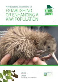 Establishing Or Enhancing a Kiwi Population