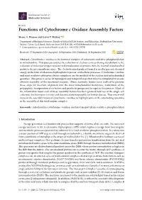 Functions of Cytochrome C Oxidase Assembly Factors