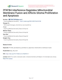 PFKFB4 Interference Regulates Mitochondrial Membrane Fusion